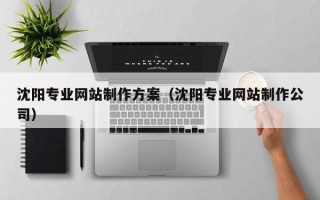 伊犁沈阳专业网站制作方案（沈阳专业网站制作公司）